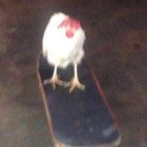 Meet your Posher, Lizzi